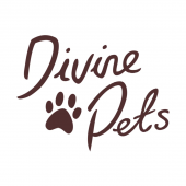 divine pets